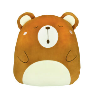 Polštář a deka - Medvídek Albi