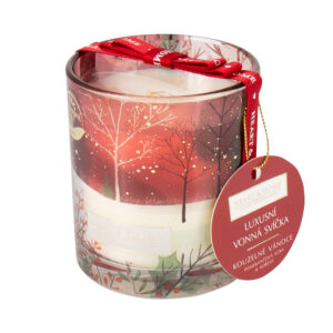Svíčka s potiskem - Kouzelné Vánoce Albi