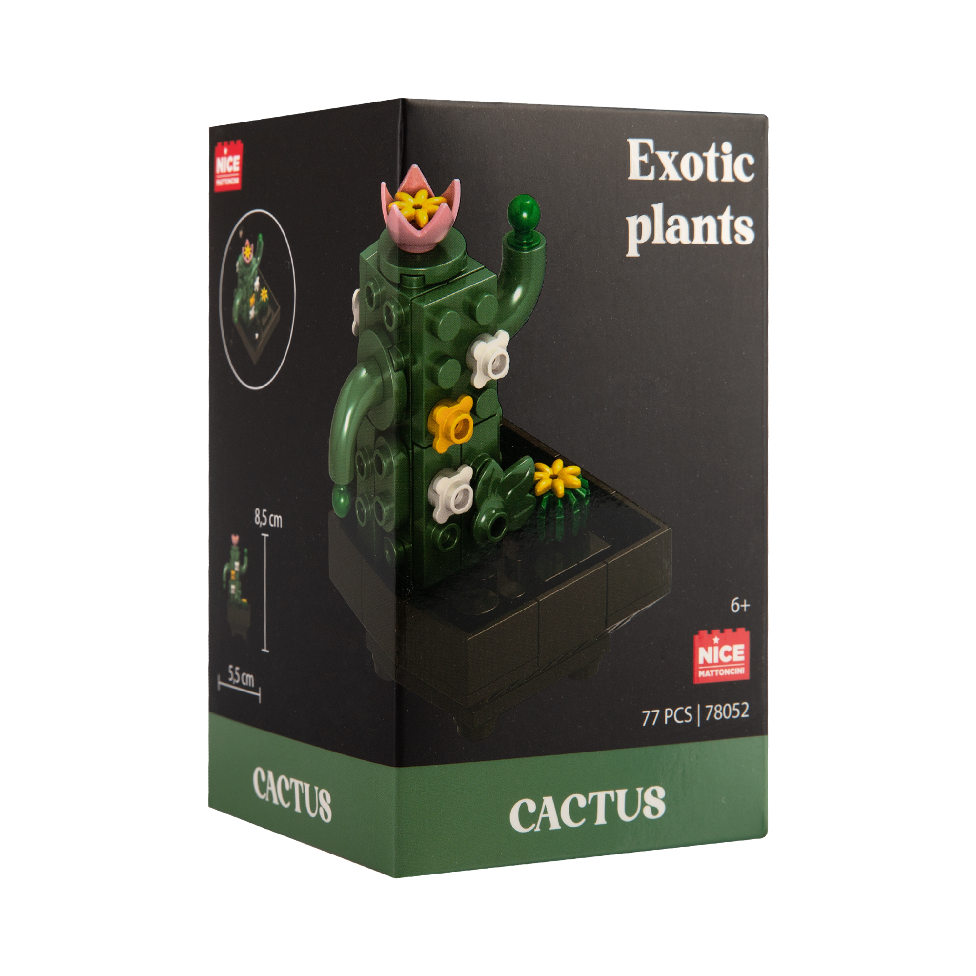 Květinová stavebnice Exotic - Kaktus NICE SRL - Obrázek 2