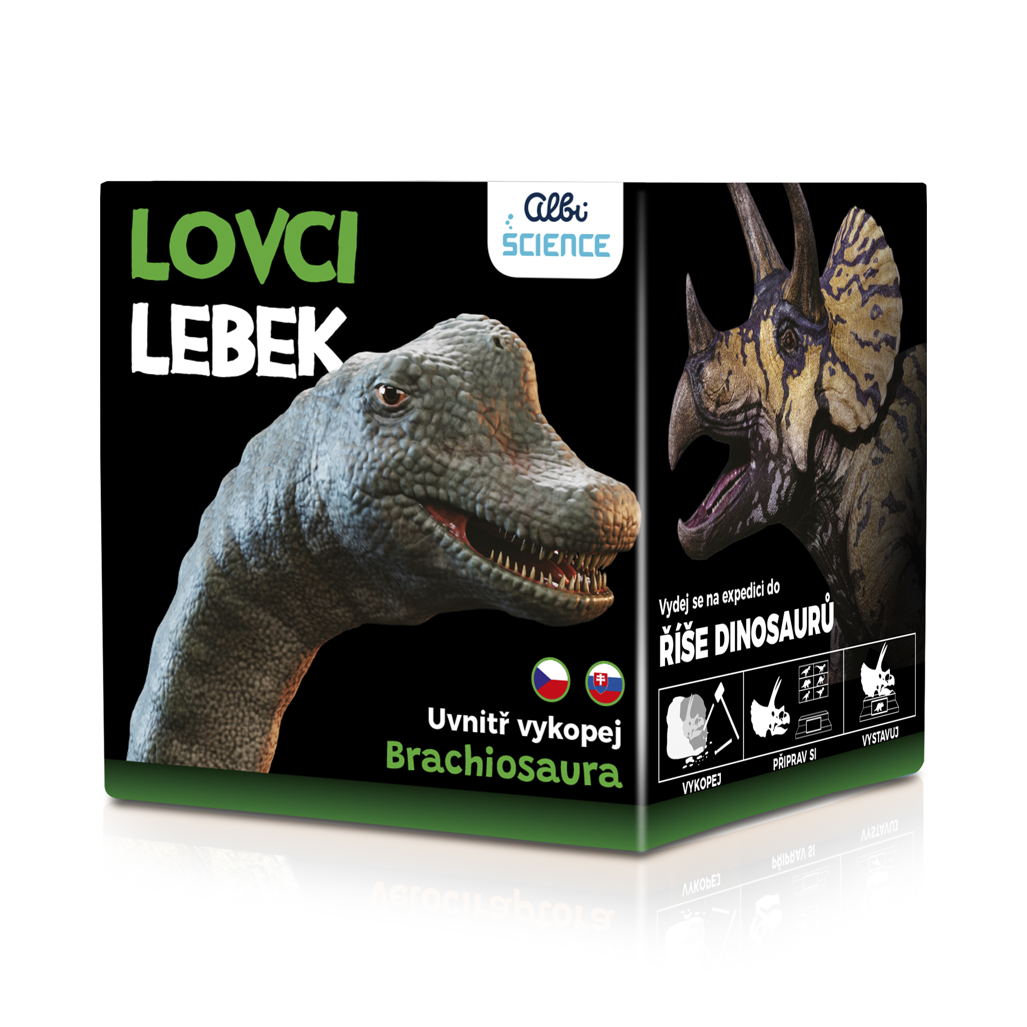 Lovci lebek - Brachiosaurus Albi