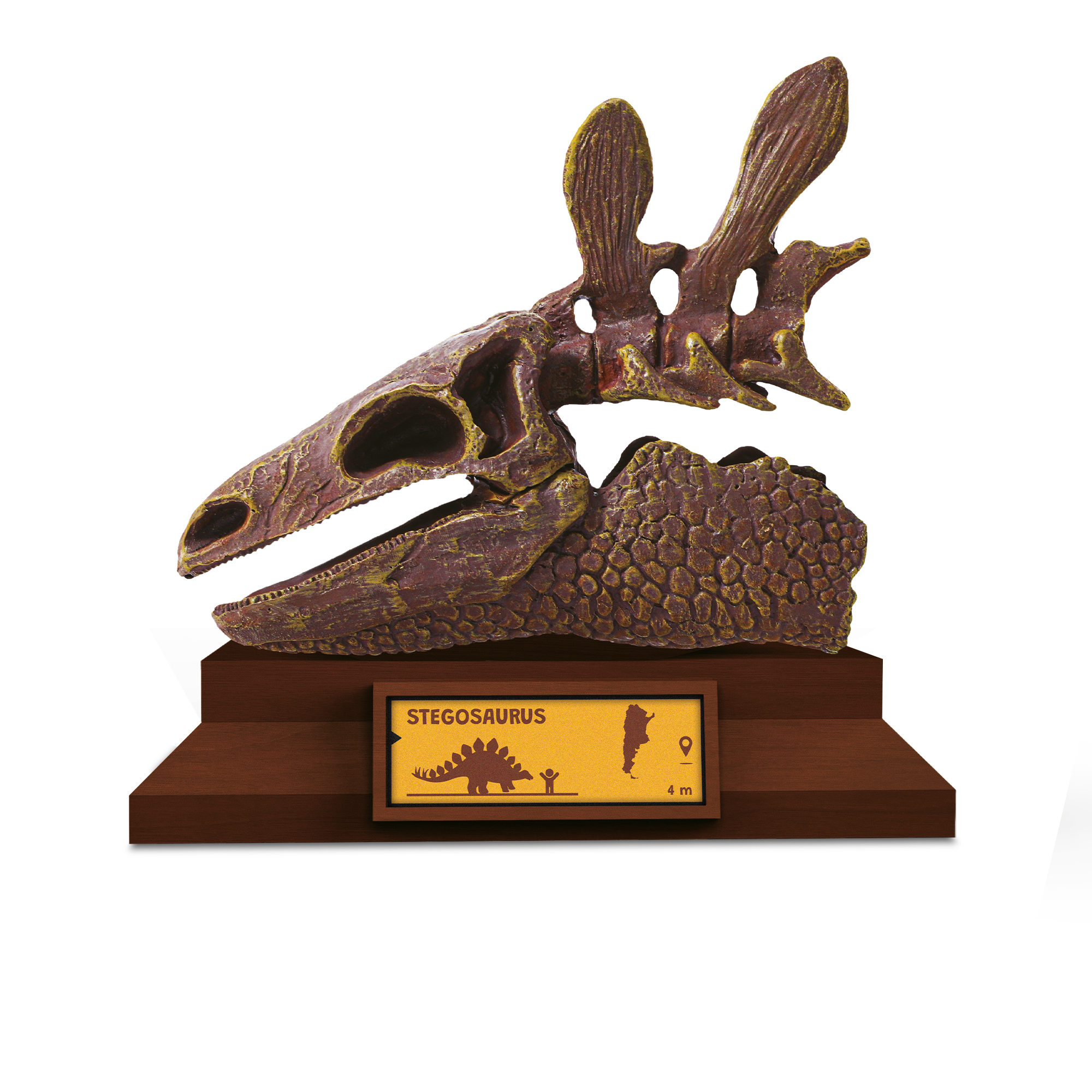 Lovci lebek - Stegosaurus Albi - Obrázek 2