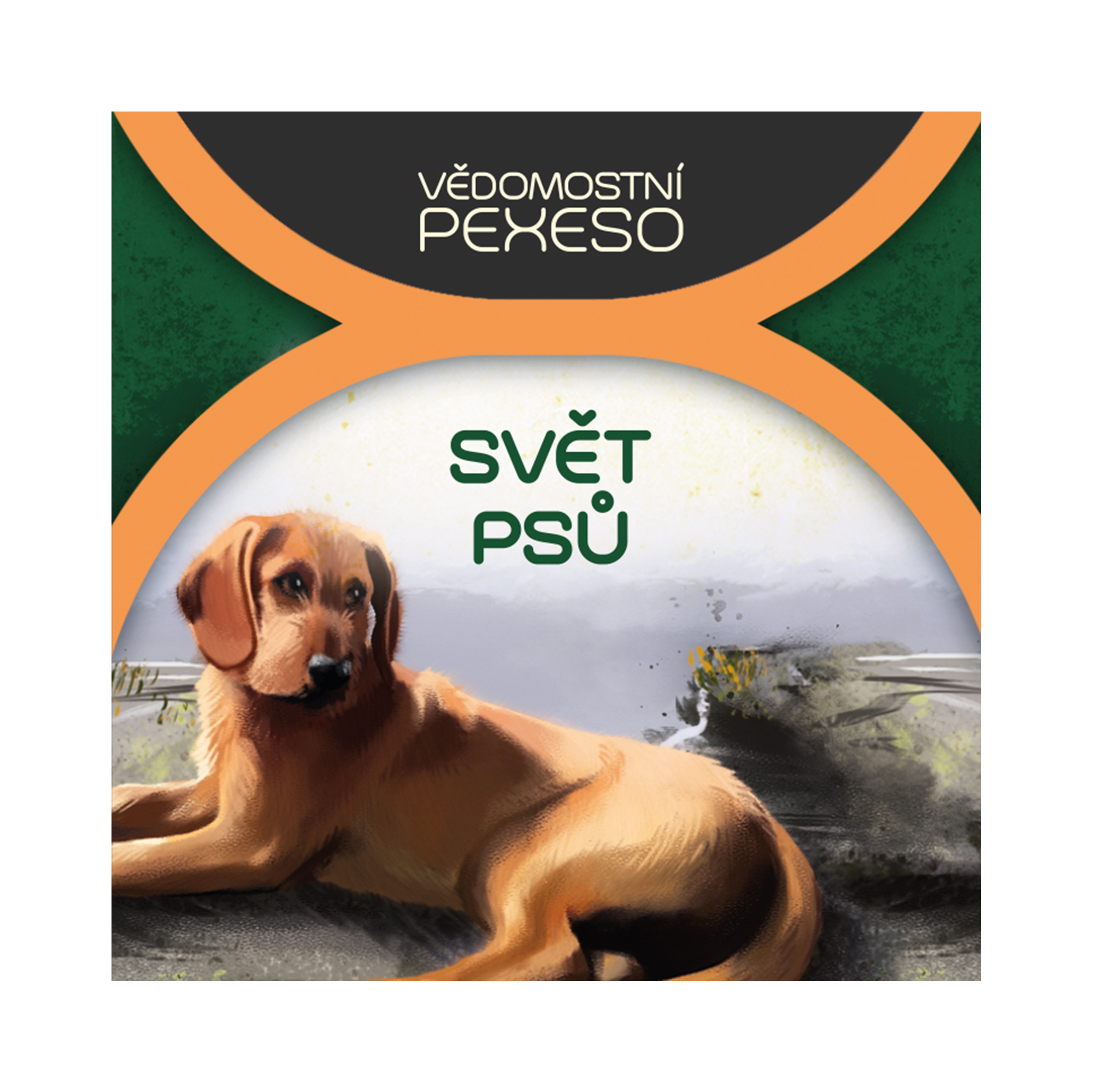 Vědomostní pexeso - Svět psů Albi - Obrázek 2