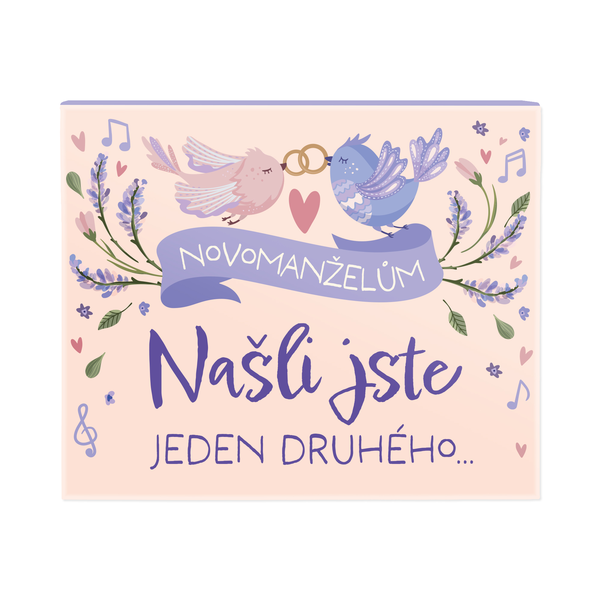 Hrací krabička na peníze - Našli jste jeden druhého Albi - Obrázek 2