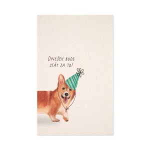 Přání k narozeninám - Corgi Albi