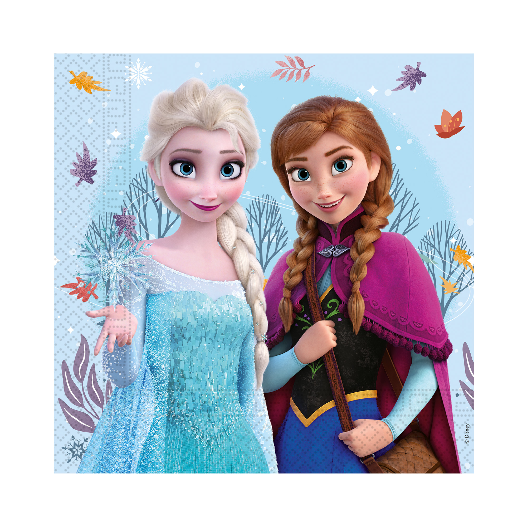 Ubrousky Ledové království Elsa a Anna 20 ks Albi