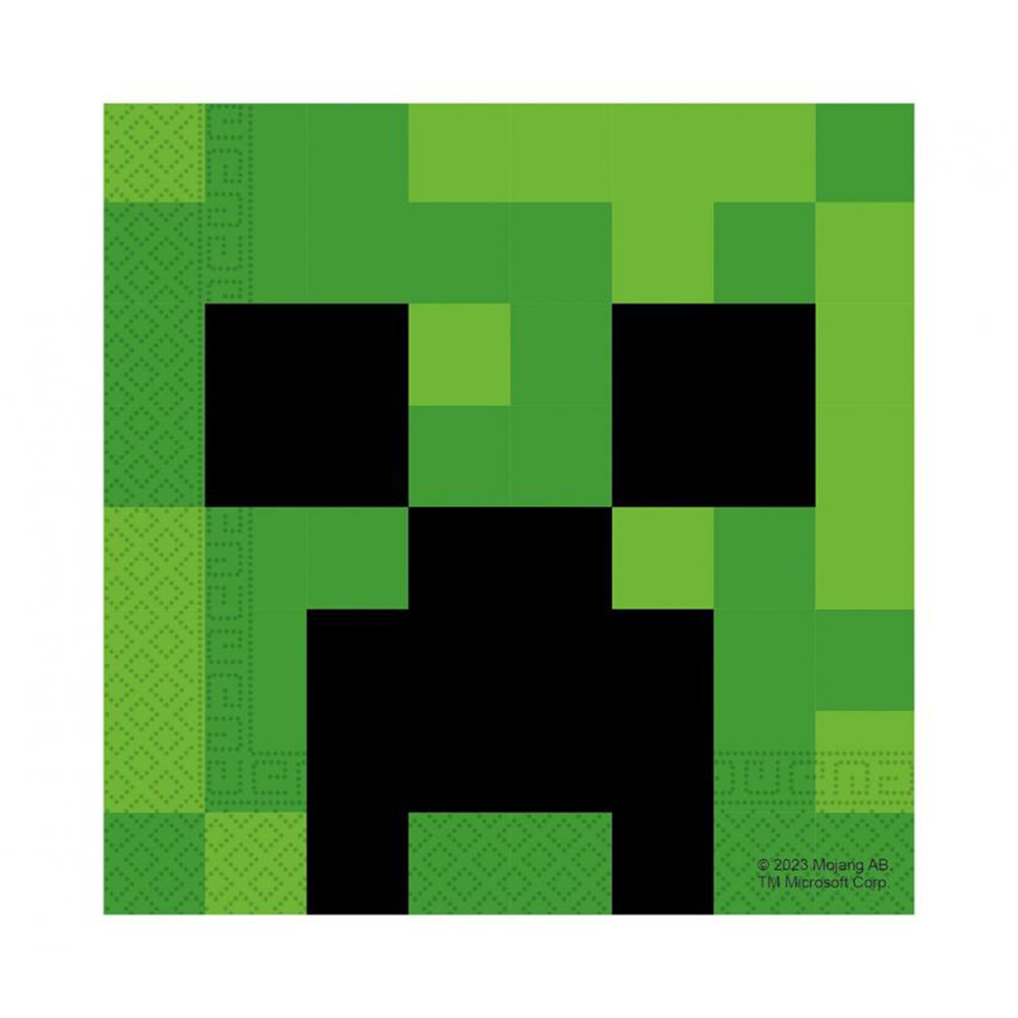 Ubrousky Minecraft 20 ks Albi