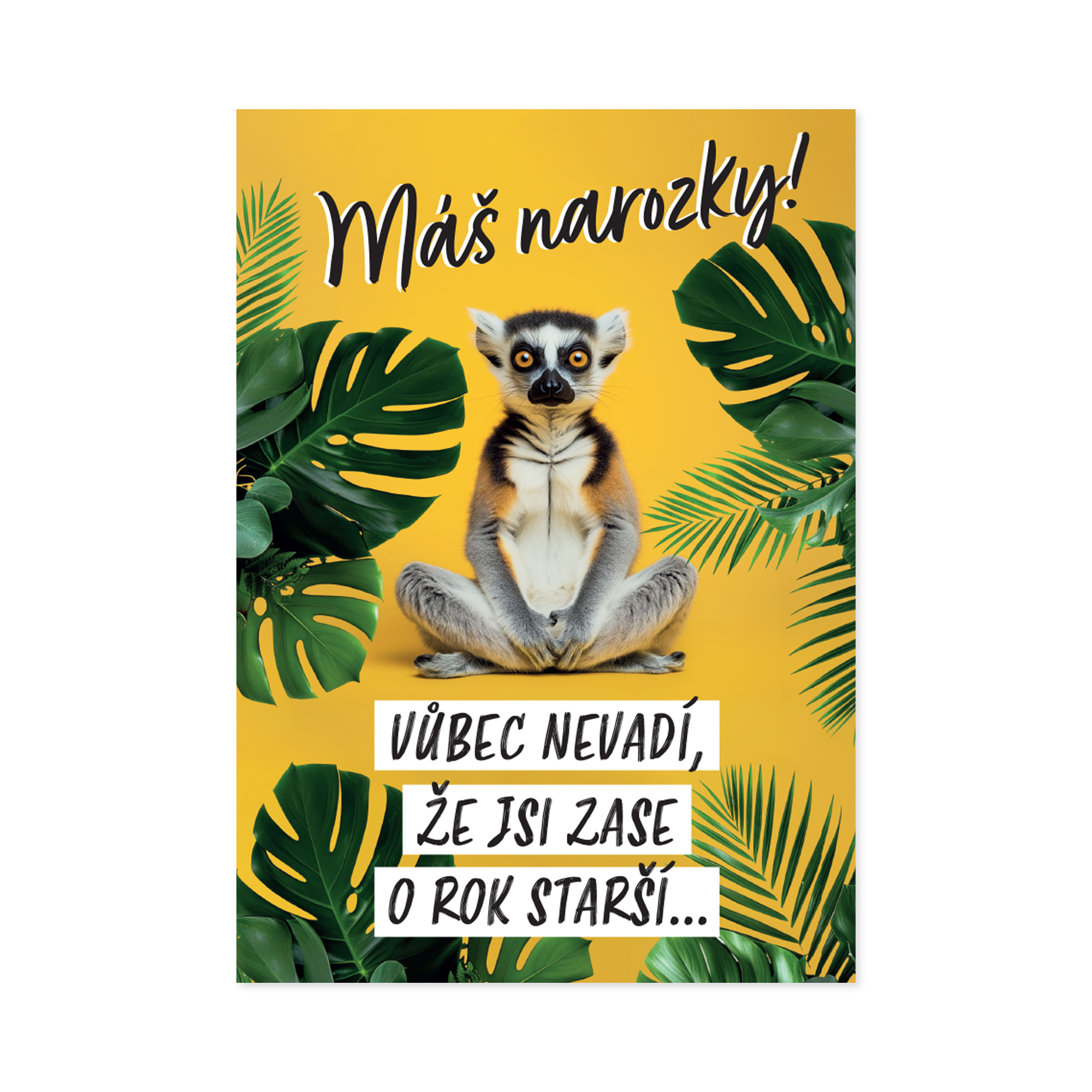 Hrací přání k narozeninám - Lemur Albi